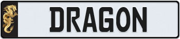 Dragon Euro Style License Plate