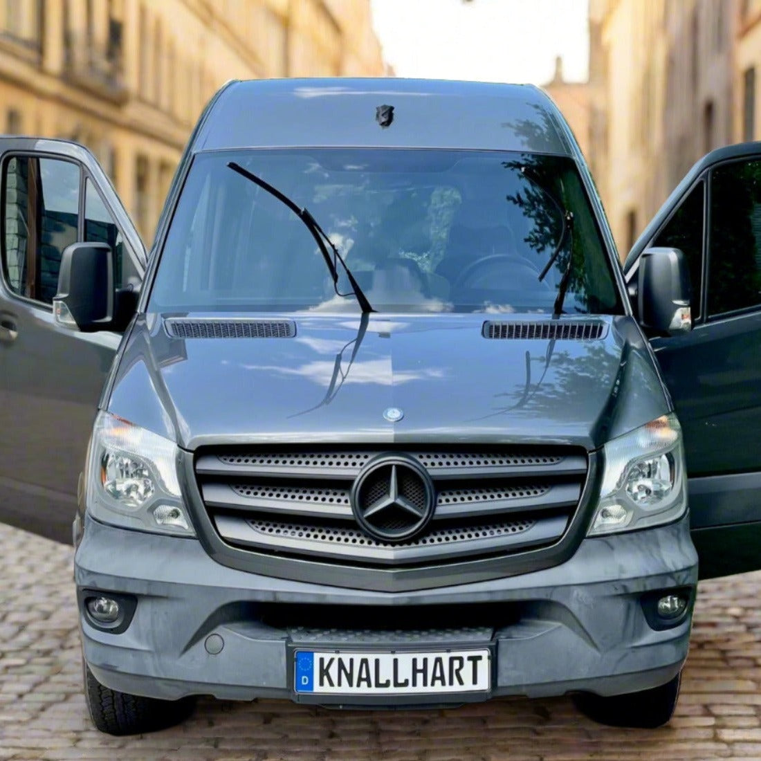 CustomEuropeanPlates.com